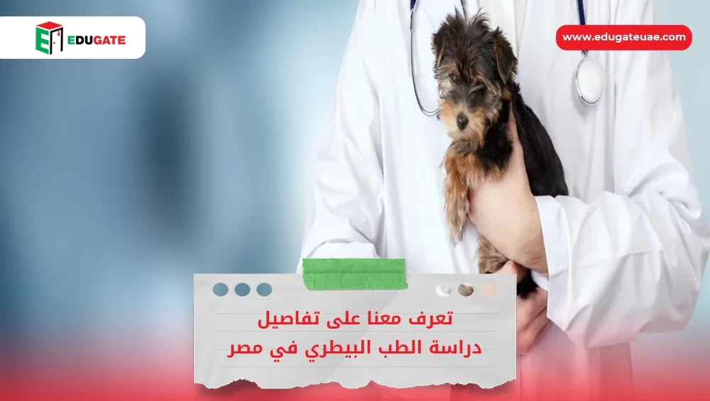 Blog Featured Image
