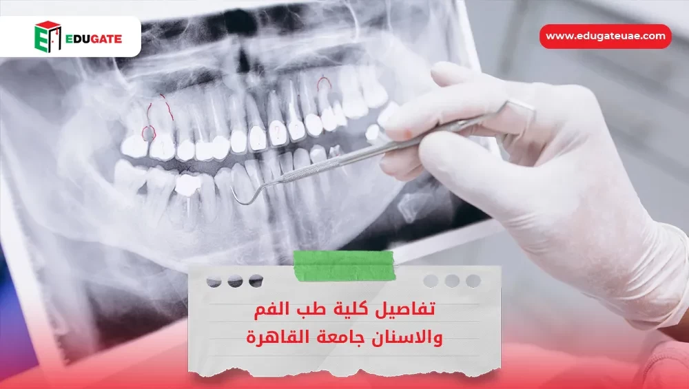 Blog Featured Image