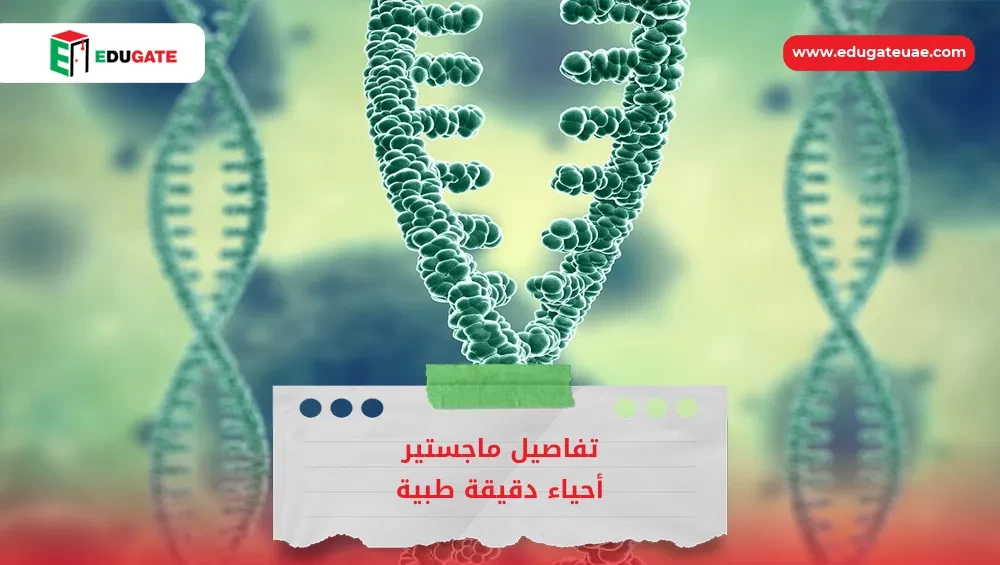 Blog Featured Image