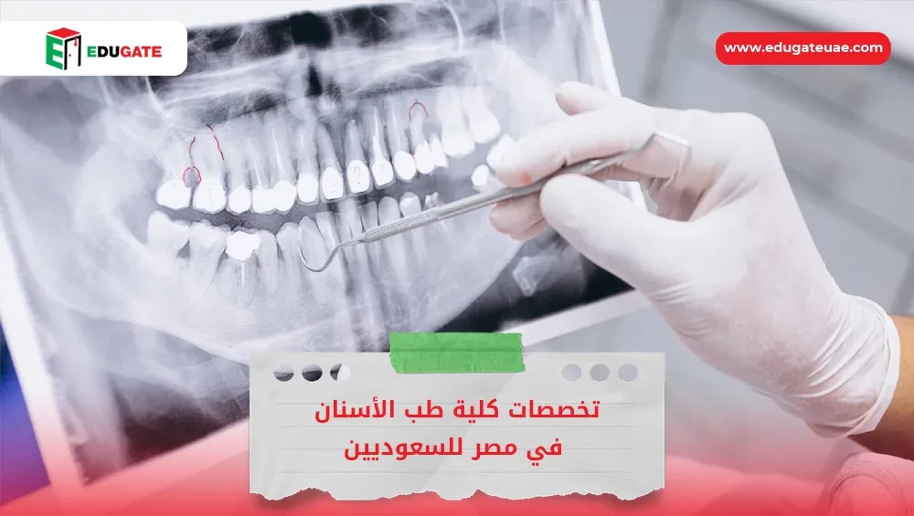 Blog Featured Image