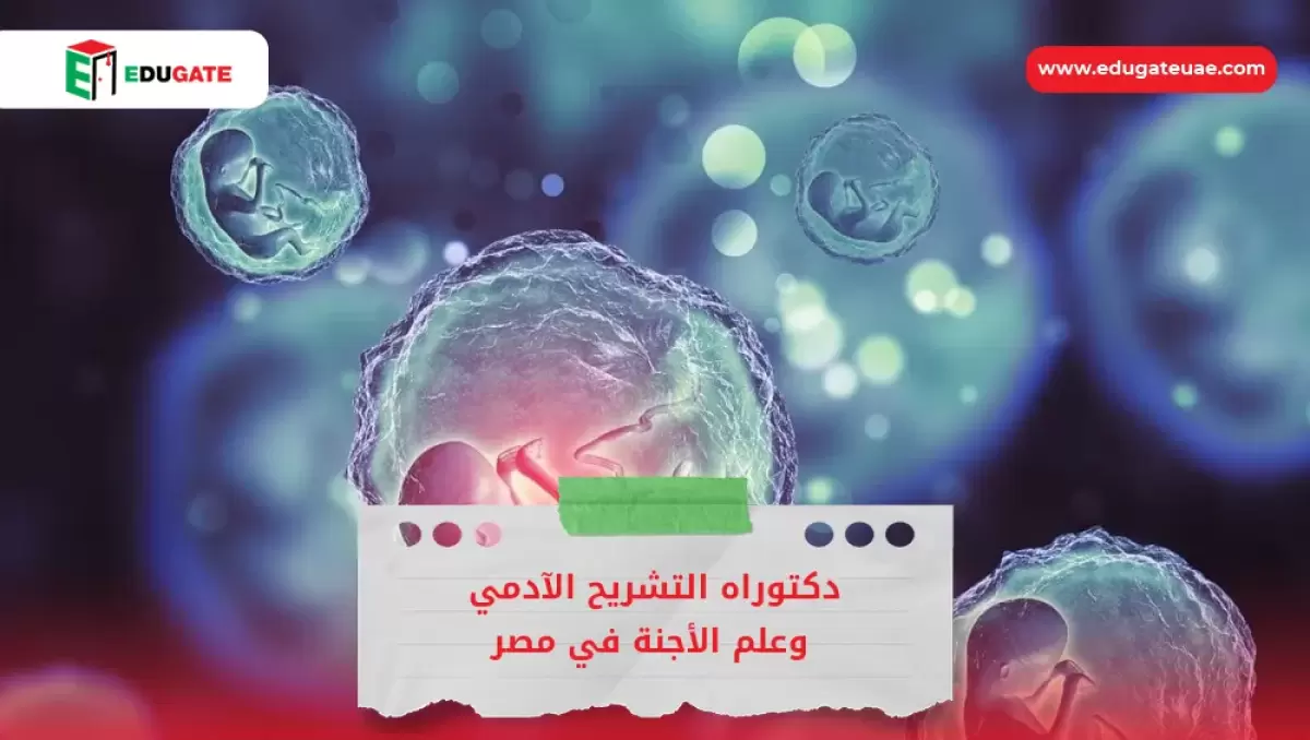Blog Featured Image