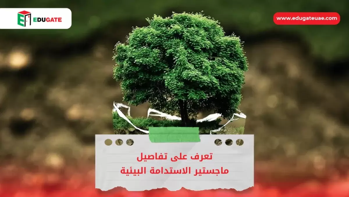 Blog Featured Image