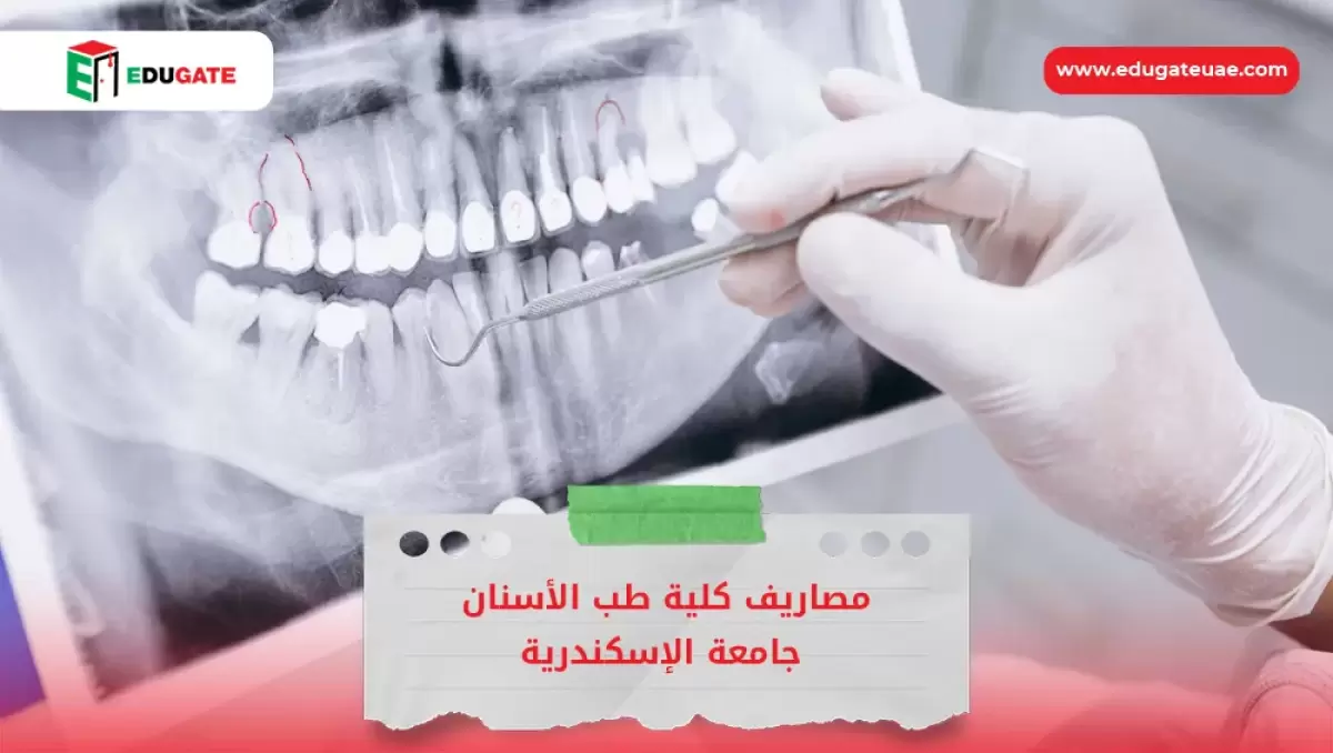 Blog Featured Image