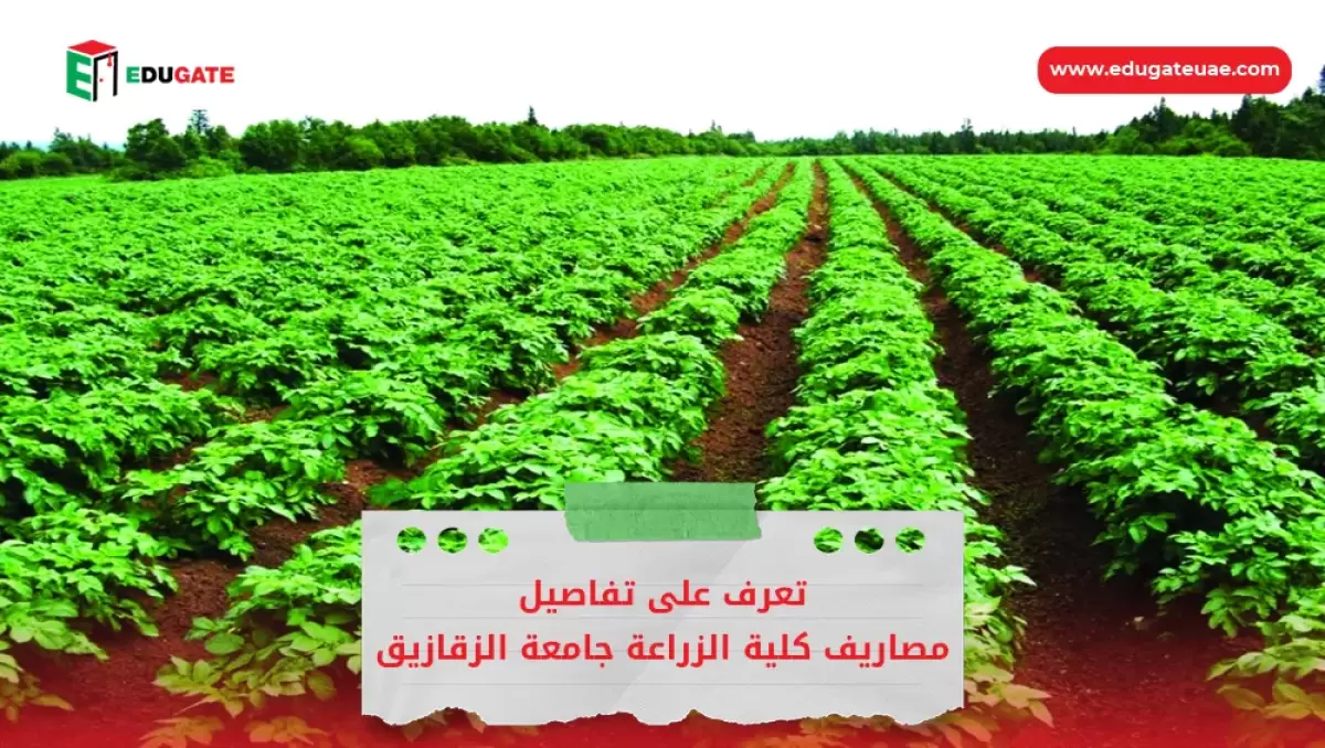 Blog Featured Image