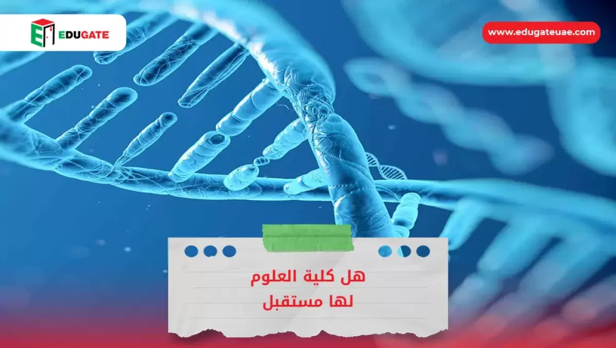 Blog Featured Image