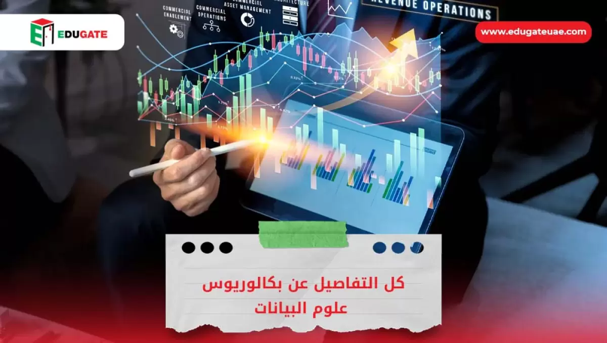 بكالوريوس علوم البيانات
