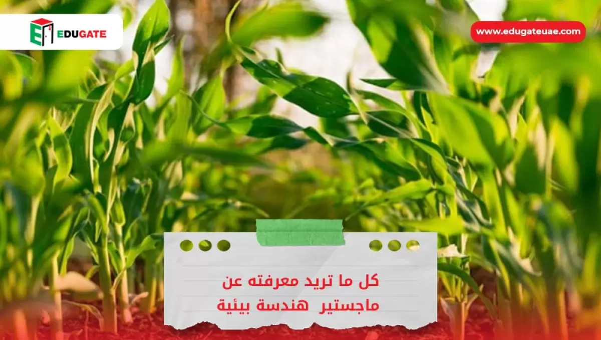 Blog Featured Image