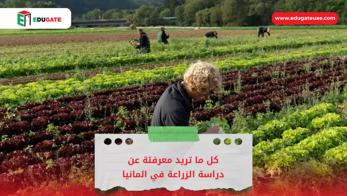 Blog Featured Image
