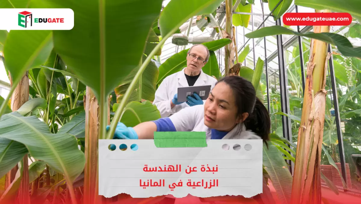 Blog Featured Image