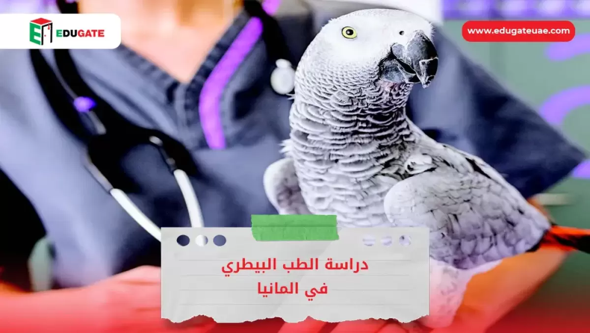 Blog Featured Image
