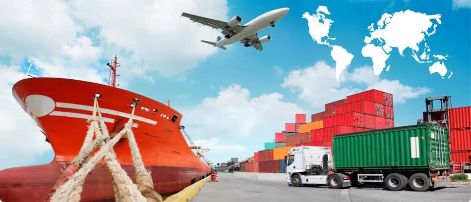 دراسة تخصص التجارة الدولية وإدارة الصادرات في مصر