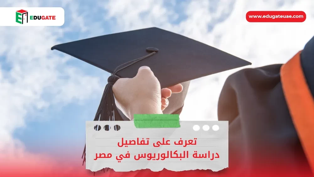 دراسة البكالوريوس في مصر