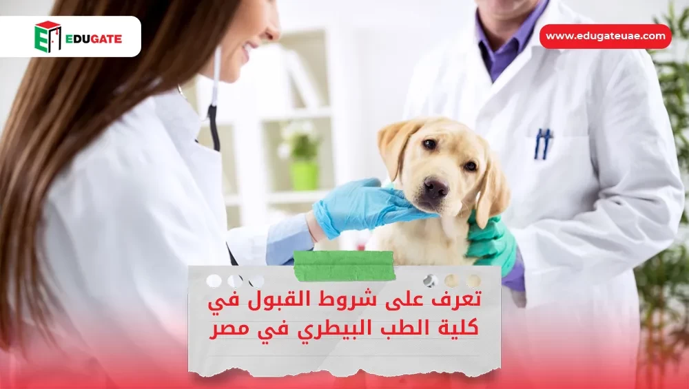 شروط القبول في كلية الطب البيطري في مصر